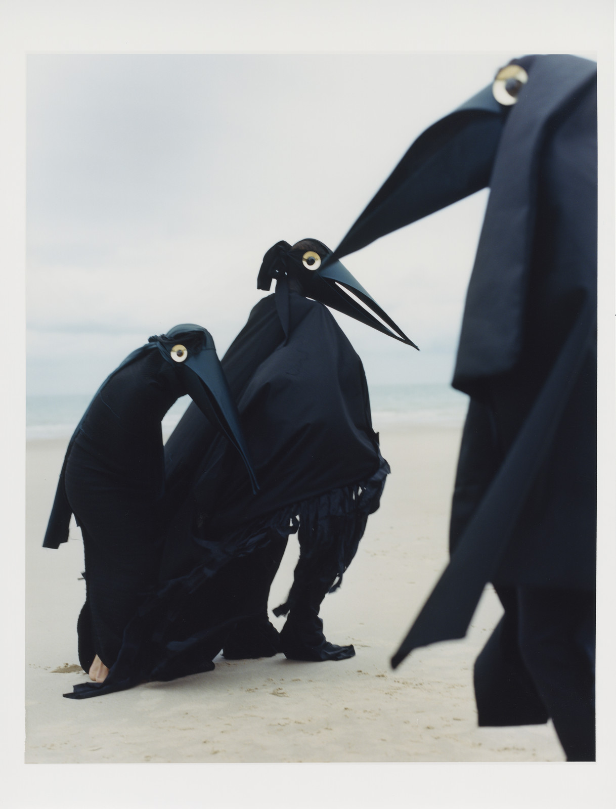 Imaginary Ornithology - Oiseaux — © 2023 Estelle Hanania