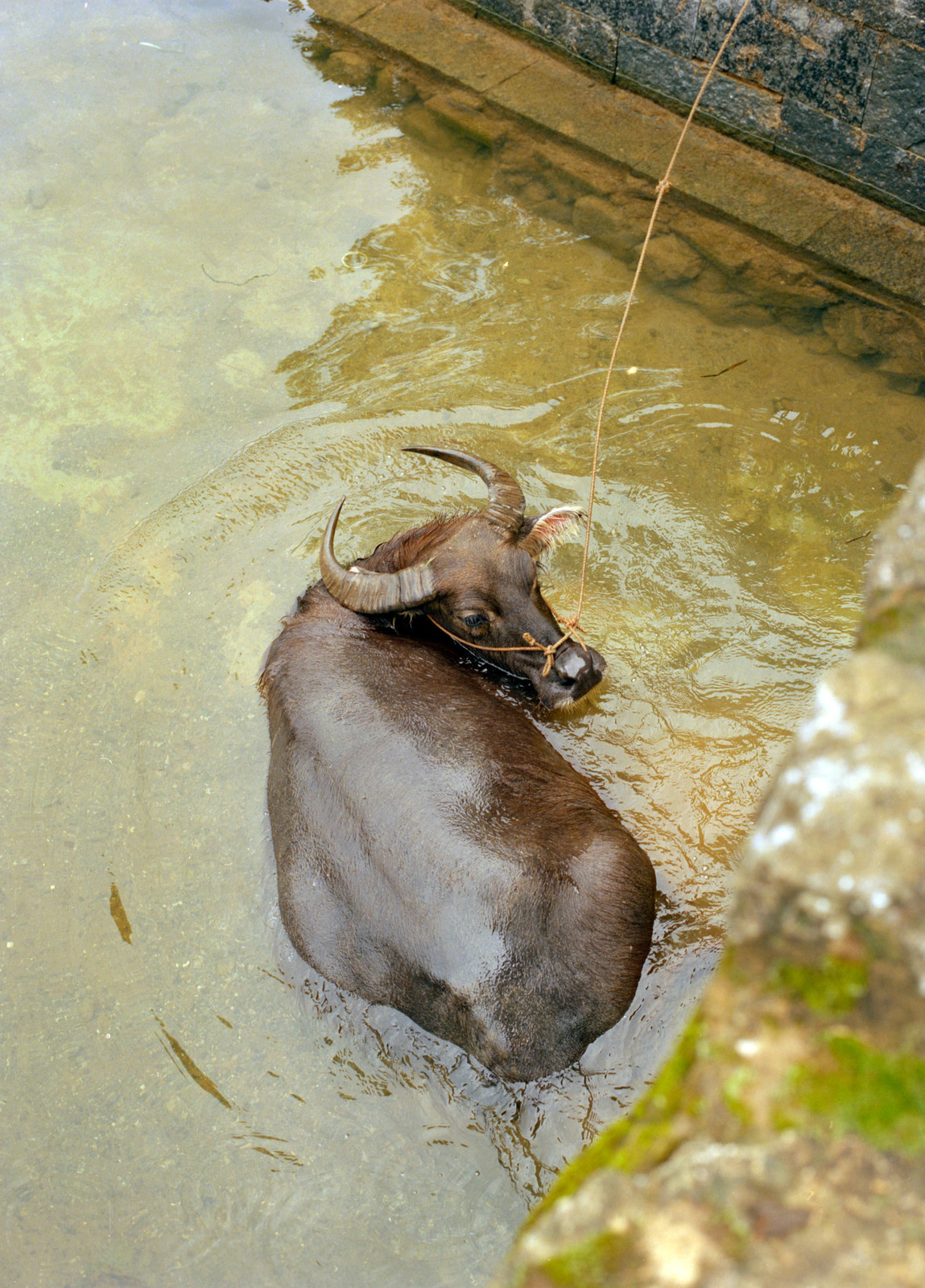 China — © 2012 Estelle Hanania