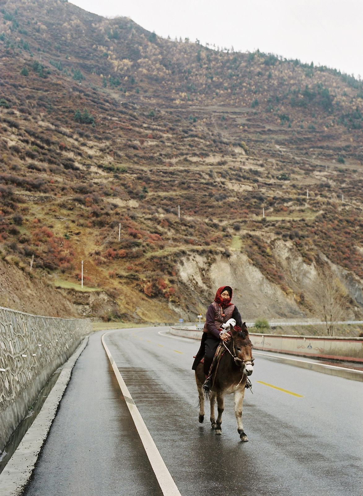 Sichuan — © 2011 Estelle Hanania