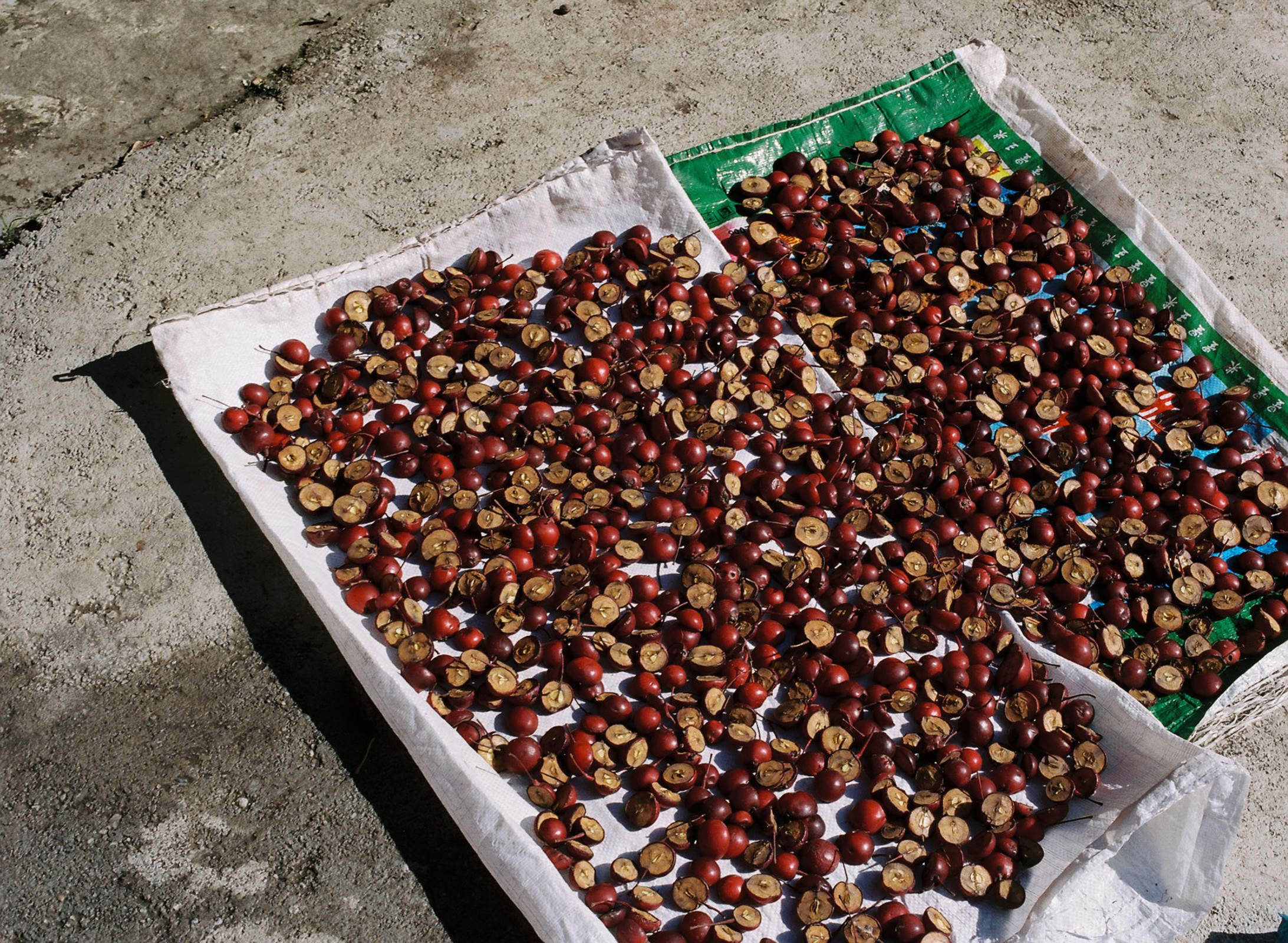 Sichuan — © 2011 Estelle Hanania