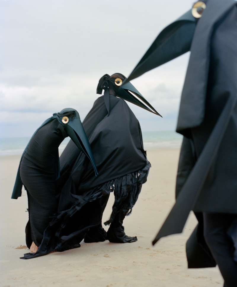 Imaginary Ornithology — © 2018, Estelle Hanania