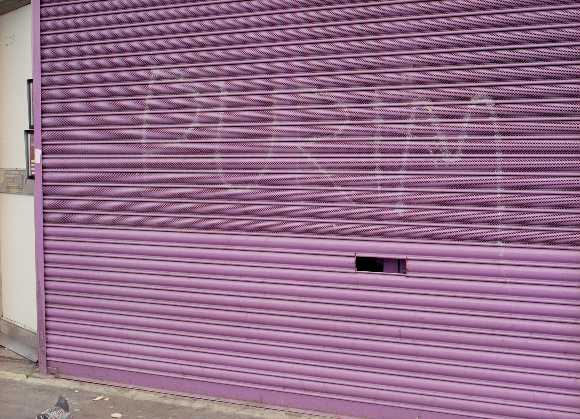 Happy Purim — © 2011 Estelle Hanania