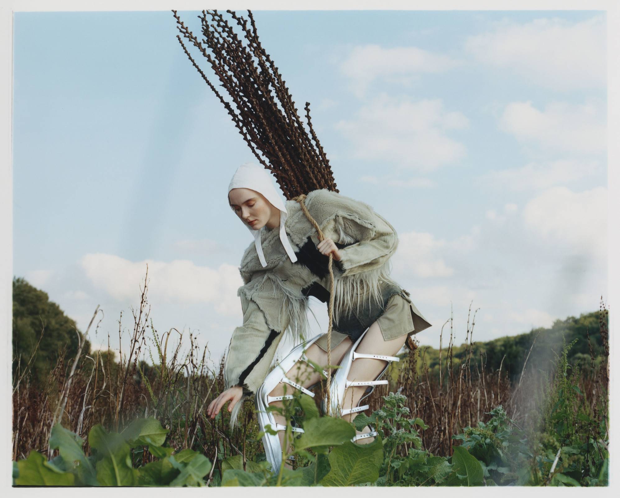 Scandal at the farm — © 2022 Estelle Hanania