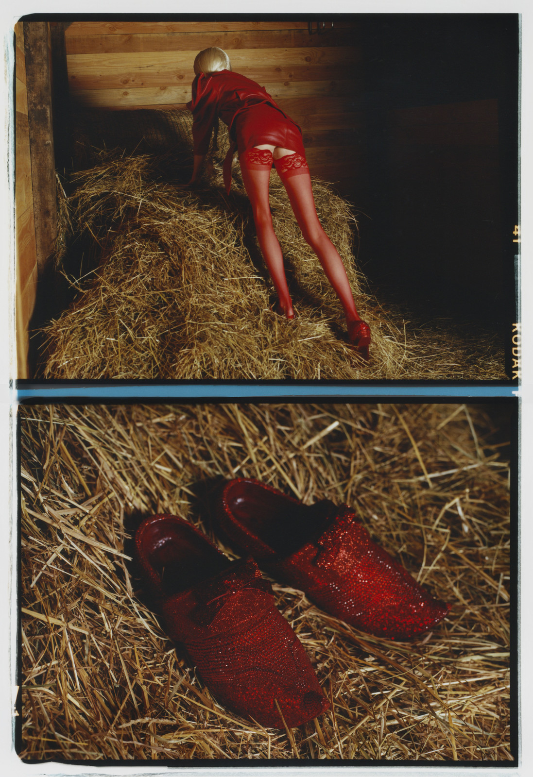 Scandal at the farm — © 2022 Estelle Hanania