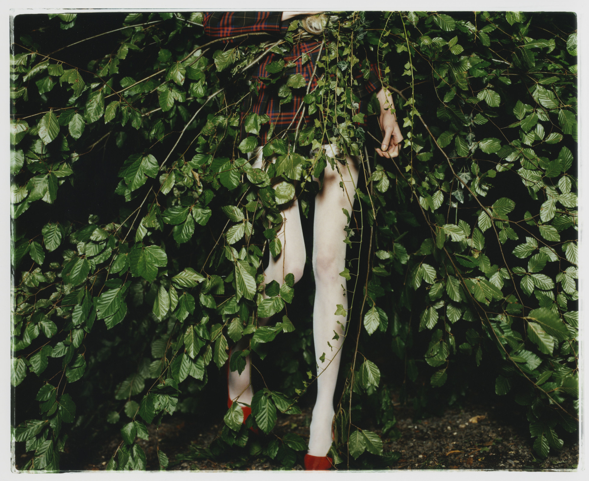 Scandal at the farm — © 2022 Estelle Hanania