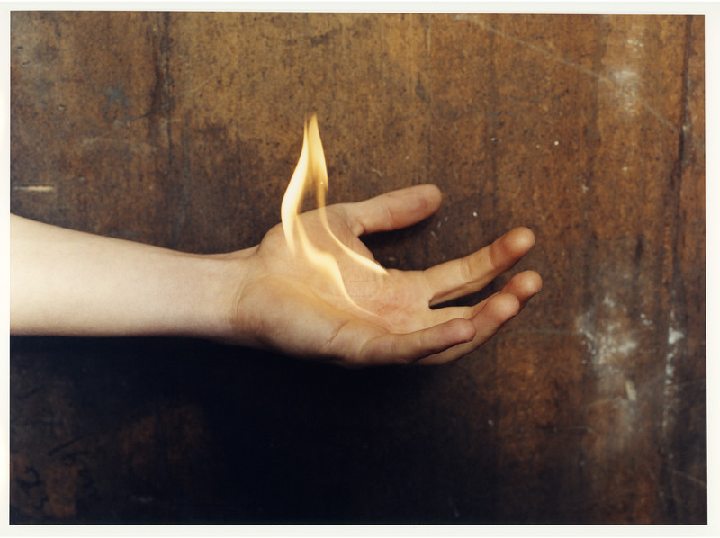 Shady — © 2005, Estelle Hanania