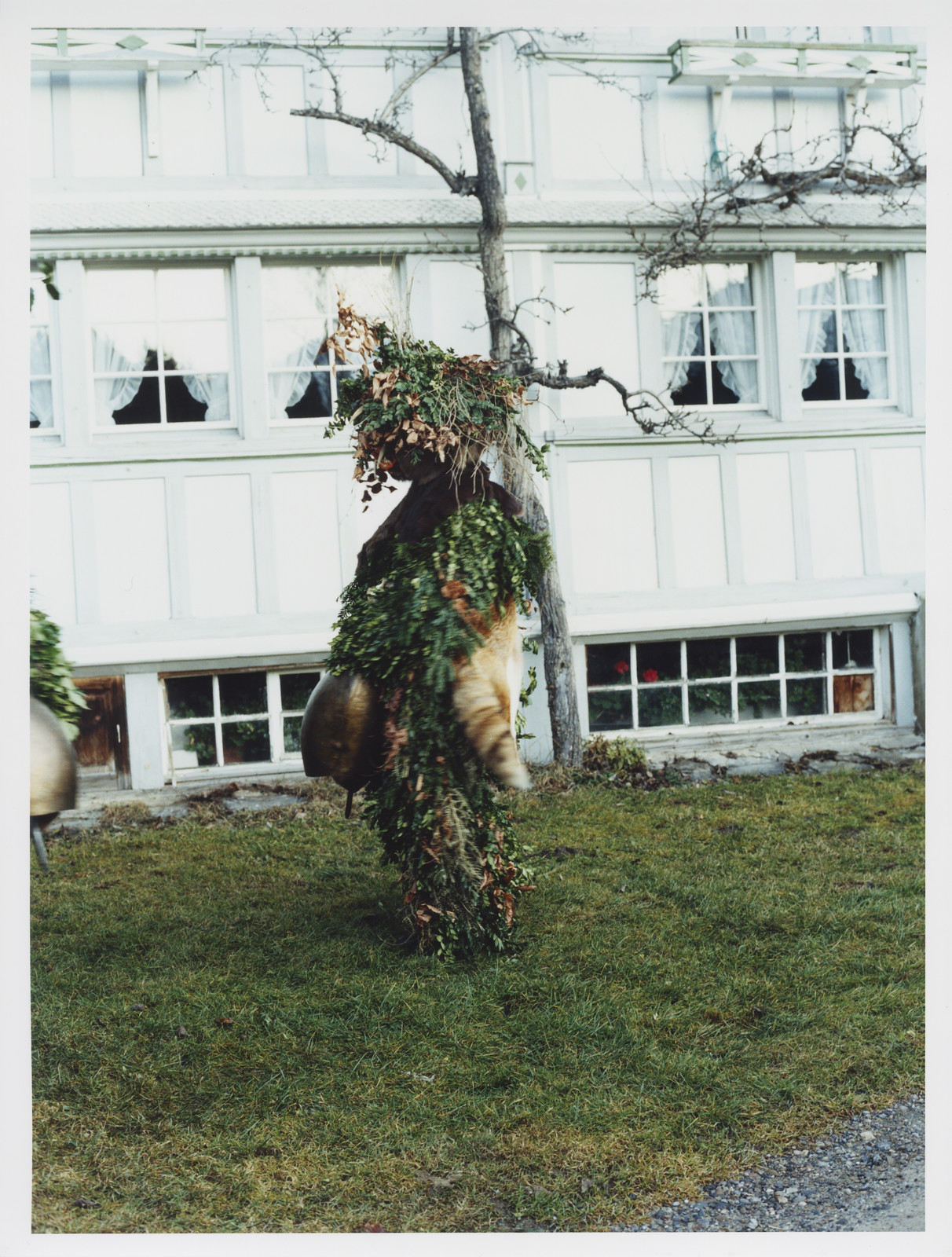 Demoniac Babble - Blue House — ©  Estelle Hanania