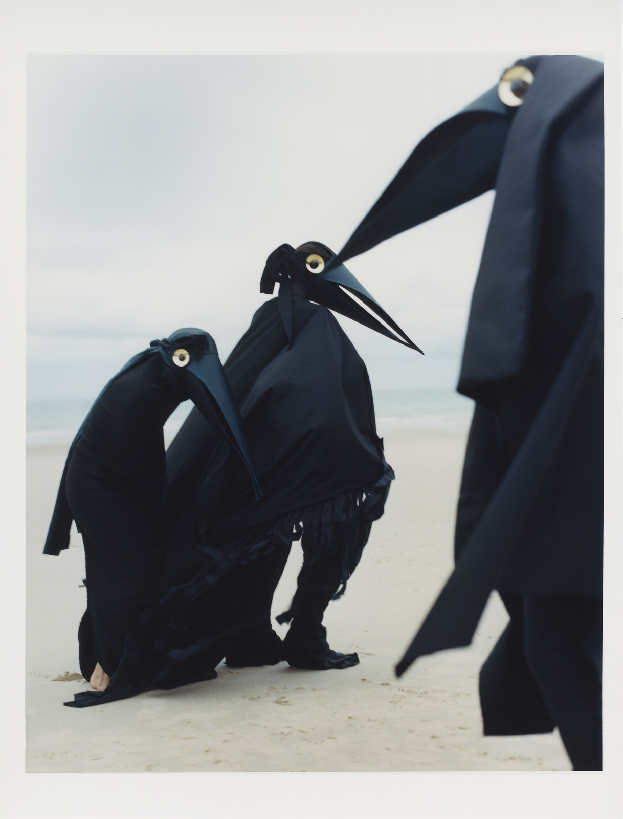 Imaginary Ornithology - Oiseaux — © 2025 Estelle Hanania
